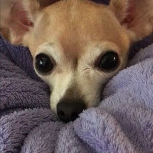 Meet your Posher, Sandra